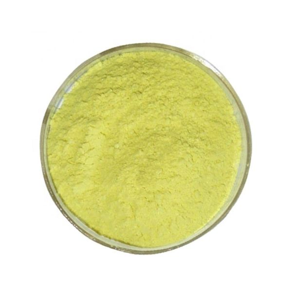 Quality 99% Purity Quercetin Bulk Supplements From Sophora Japonica Extract For Natural Ingredients wholesale