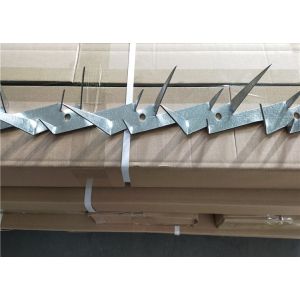 Hot Dipped Galvanized Anti Climb Spikes Rooftop Razor Spikes For Security