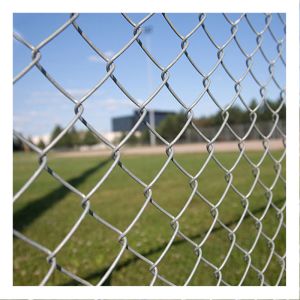 75mm Chain Link Mesh Fencing Hot Dipped Galvanized Pvc Coated