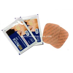 Hot Sale Automatic Four Side Seal Horizontal Flow Wrapper for Solid Products