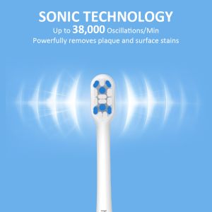 Electric Toothbrush with Water Flosser, 3 in 1 Teeth Cleaning Kit with 4 Modes