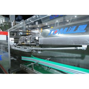 Automatic Horizontal Pesticide Filling Machine