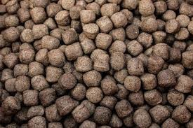 6TPH Twin Screw Fish Feed Extruder For Floating Fish Feed