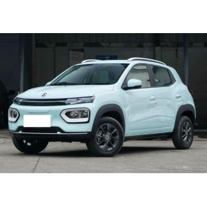 China Dongfeng Ev New Energy Nano Box Engine Capacity 2.0L Fuel Type on sale