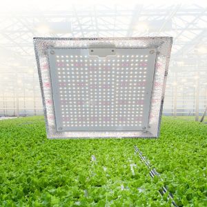 Greenhouse Dimmable Quantum Board Grow Light For Grow Tent