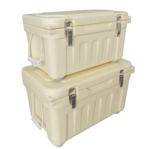 China Rotational Moulds Insulated Container Rotomolding Chilled Fish Box Custom