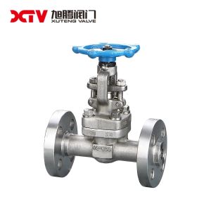 ANSI Carbon Steel Wedge Type Double Gate Valve Ideal For Cast Steel Applications