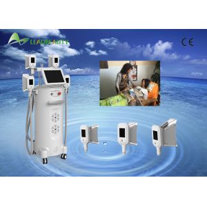 large size cryo heads 4 handles criolipolisis machine with lowest -15 degree