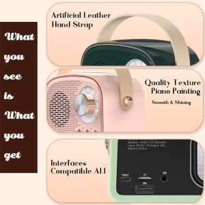 Portable Audio Player Hifi Stereo TF USB FM Radio Wireless Retro Blue tooth