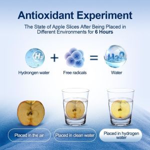 3 Purpose Hydrogen Water Generator In Blue Bottle App-Controlled SPE/PEM