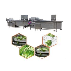 Customized Salad Production Line Vegetable Fruit Washing and Cleaning Machine