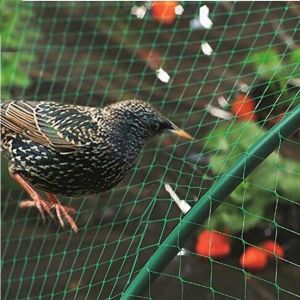 100% New PP Orchard Protect Green Anti Bird Net Agriculture Anti Bird Net
