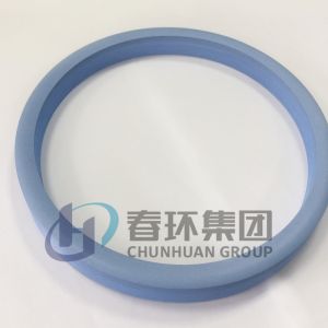 21Mpa Ptfe Flat Gasket