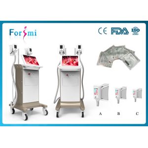Cheap cryogenic treatment 3.5 inch Cryolipolysis Slimming Machine FMC-I Fat Freezing Machine for sale