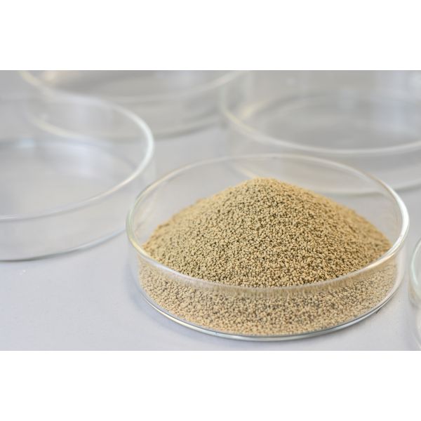 Quality Lipase Immobilized Enzyme With High Environmental Friendliness High Reusability wholesale