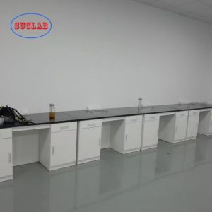 Acceptable OEM/ODM Lab Workstation with Drawers Customizable and Design for
