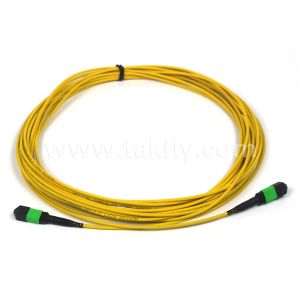 3m 10ft MTP-12 APC Female to MTP-12 APC Female Single Mode OS2 Plenum MPO Patch