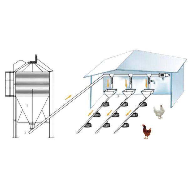Quality 45-65 broiler Chicken Breeding Equipment HX Chicken Feed System wholesale