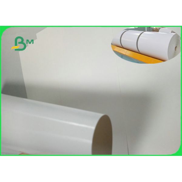 FSC C1S Ivory Board Poly Coated Paper 300gsm + 15g PE 70 x 100cm for Cup Making