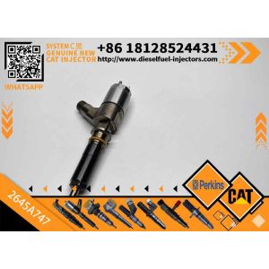 High Quality New Diesel Common Rail Fuel Injector 2645A747 2645a747 for CAT C6.6