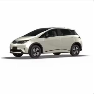 Closed Body Type Gray High Speed Smart 5 Seat Pure Electric Car Byd Dolphin EV