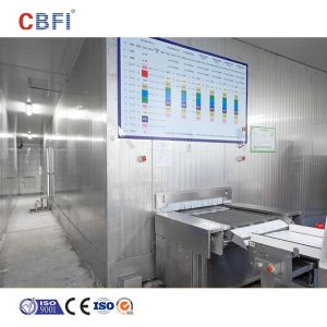 Industrial Quick Freezing Double Spiral Freezer With High Efficient Cooling