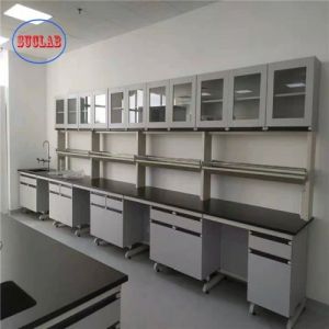 Customizable and Modern Modular Lab Furnitures Design with Powder Coating