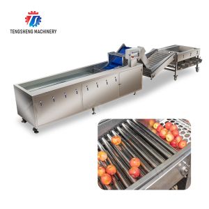 Fruit bubble washing and sorting production line Fruit Vegetable FOOD processing