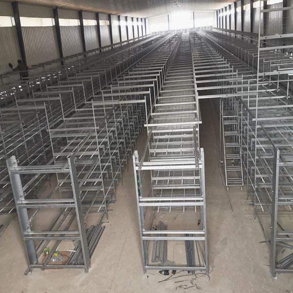 Quality Q235 Chicken Farming Equipment , 384 Birds / Set H Type Layer Cage wholesale