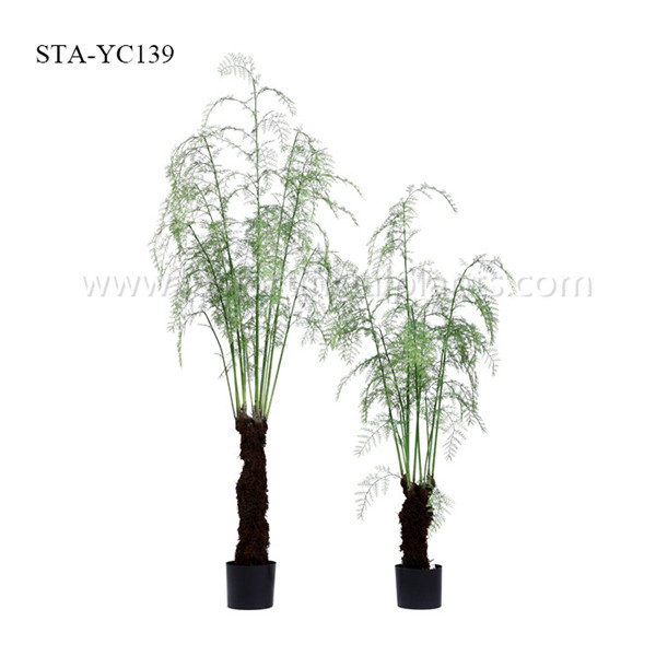 Realistic Artificial Fern Tree 150CM 210CM Tropical Plant Cost Effective Long