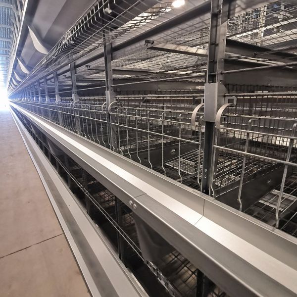 Quality Zinc-Alu Automatic Feeding Machine For Poultry , SGS 1.2mm Broiler Feeding System wholesale