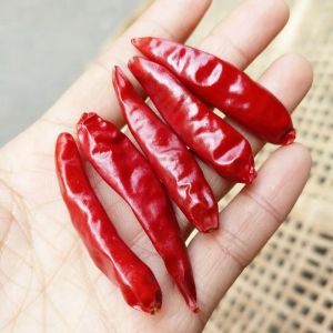 High Vitamin C Spicy Chile Guajillo Pods Nutritional Facts & Flavorful Taste