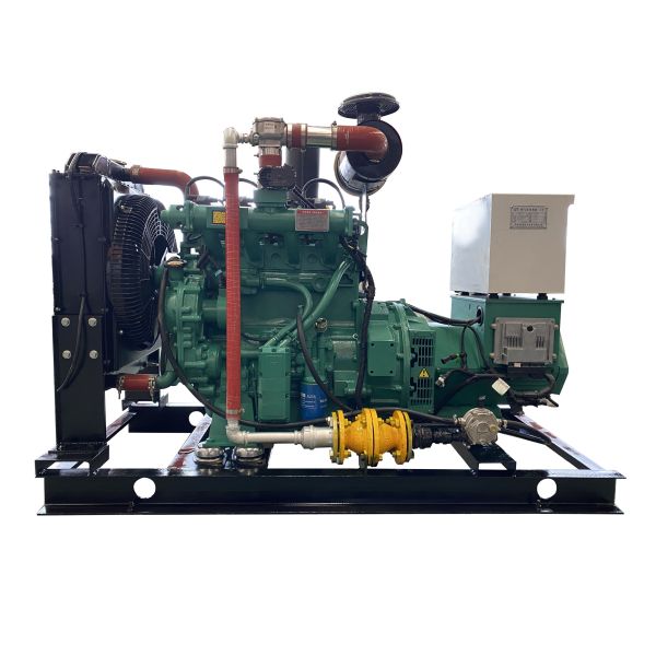 IP23 30kw Shang-Chai Silent Gas Generator Natural Gas Generating Set 30kw Speed