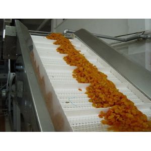 Stainless Steel Elevator Conveyor Belt Conveyor Price for Washing Vegetable and