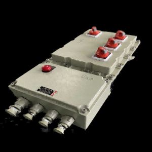 Cheap Wall Mounted Box Panel Explosion Proof with AC220V/380V Voltage for sale