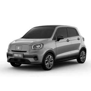 Cheap Leapmotor T03 MiNi EV Cars 2024 C11 Hybrid Car for Adults at Maximum Speed of 170 km/h for sale