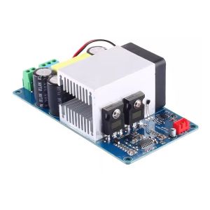 1000W Super Power Mono Digital Amplifier Board for Subwoofers Professional