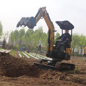 Hydraulic Mini Compact Crawler Excavator 2 Ton with Changchai 390 Engine