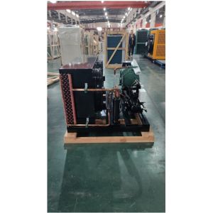 Customized Refrigeration Cold Room Condensing Unit Piston Compressor