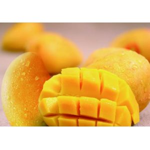 Small Scale Fresh Juice Mango Processing Plant 2t/H