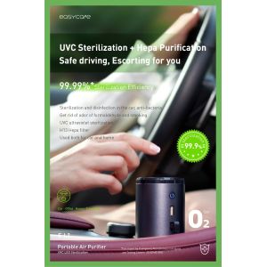 Homefish 4 In 1 Activated Charcoal Negative Ion HEPA Air Purifier Micro USB