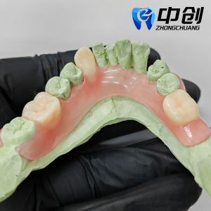 Flexible Denture High Durability Invisible Denture Base Resin for Natural