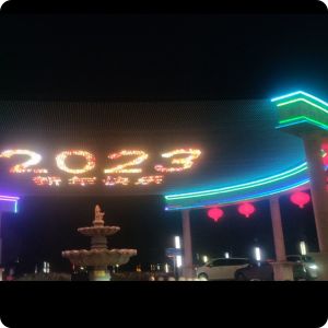 Indoor P100 Flexible LED Mesh Screen Display LED Dot Light Transparent