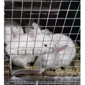 1x1 welded wire mesh panel welded wire mesh fence panel