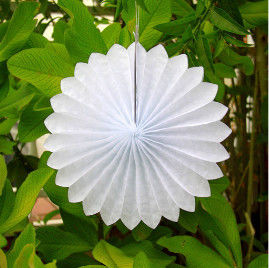 Paper folding fan wedding party decoration background paper fan flower color by pantone coloring