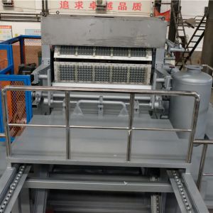 Egg Packaging Paper Tray Machine 2m hight ROHS Certified Pulp Molding