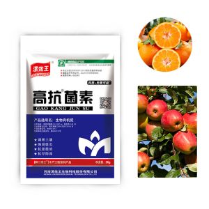 Agricultural Amino Humic Pearl Granule Fertilizer Shiny Granules Balls