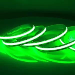 Product Weight 0.3kg 5m 10m Smart Strip Light with Dream Colour RGB COB Chip LED