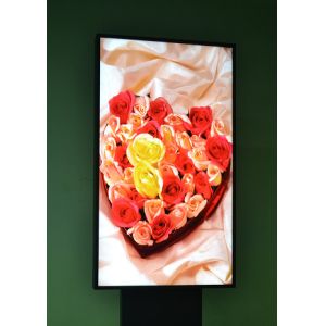 75 inch Indoor Digital Signage Displays , High Brightness for Store Window