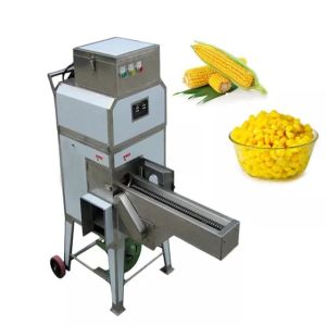 SUS 316 Avocado Fruit and Vegetable Vacuum Freeze Drying Berry Lyophilization